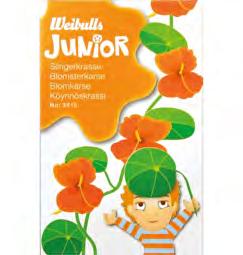 Junior 3915 7DLCNGK*adjbfa+ 3930 7DLCNGK*adjdad+ 3945 7DLCNGK*adjefh+ Slingerkrasse Tropaeolum majus Slingerkrasse. Snabbväxande och lättodlad.