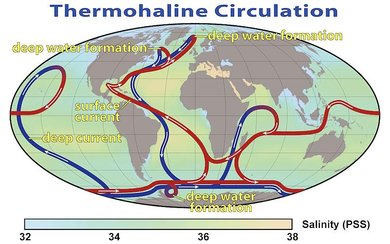 Begreppet allmän cirkulation Termohalina