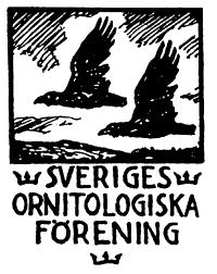 Förening (SOF)