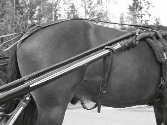 Övrigt En slaggjord är en rem som går över hästens bakdel och som fästs i skalmarna. Den hindrar hästen från att höja bakdelen och slå bakåt.