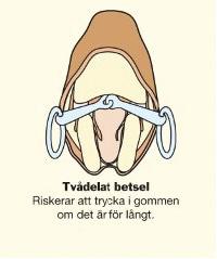 Det är viktigt att välja ett bett som passar hästen i både storlek och utformning. Det finns egentligen ingen naturlig plats för bettet i hästens mun, det tomrum som finns fylls ut av tungan.