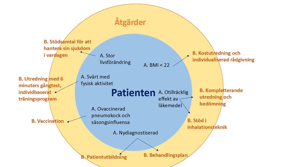 Figur 1: Exempel på behov hos KOL-patienten och hur dessa