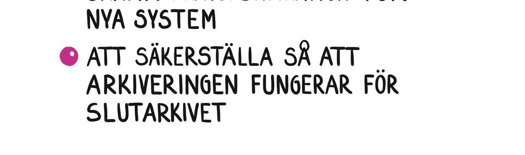 I synnerhet säkerhetskrav för förbundsmedlemmarnas arkivfunktioner.