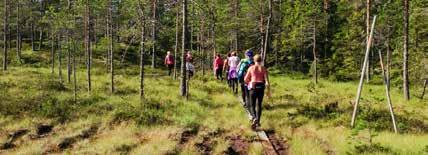 Several windshelters and fireplaces along the route. Good possibilities for accommodation. Maps available at the Tourist Office in Sysslebäck and at Långbergets Sporthotell.