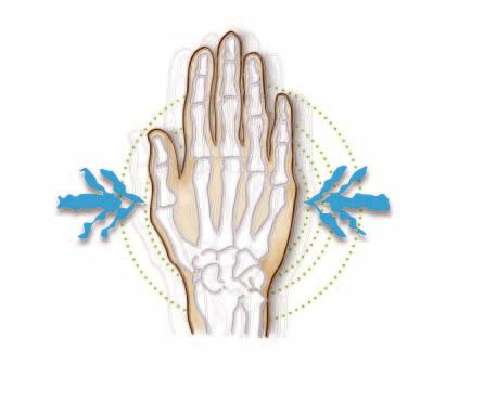 Vibrationer Föreskrifterna om medicinska kontroller av arbetstagare exponerade för hand- och armvibrationer eller helkroppsvibrationer är nya.