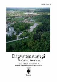 ANTAGEN AV KOMMUN- FULLMÄKTIGE 2012-05-21 En dagvattenstrategi kan innehålla följande delar: Mål för dagvattenhanteringen avseende lägsta risknivåer för bebyggelsen.