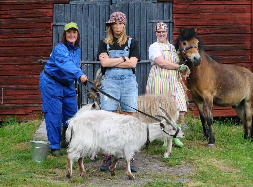 BARN OCH UNGDOM Bus och upptåg och tänkvärda budskap Foto: Marie Lundgren PÅ VÅRAN GÅRD FAKTA Period 19 november 2 december Målgrupp 4-8 år Publik 80 Speltid 40 min Lokal Aula, samlingslokal eller