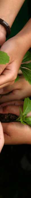 Foto: Pressbild UNGDOMS- VERKSAMHETER HÄR ÄR VÅR PLANTSKOLA!