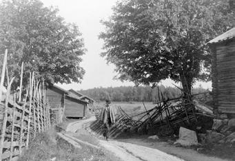 består. Livet är tid. Tid ska man vara rädd om och leva i. Inte se tillbaka för mycket och inte drömma framåt för mycket. Ta vara på det värdefulla, skippa det andra. Floda 1904. Bygata i Sunnanbyn.