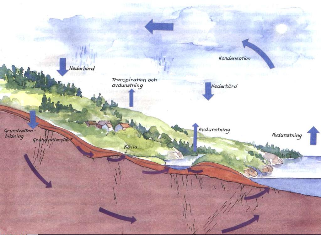 Grundvattennätet Representerar olika geologiska miljöer och