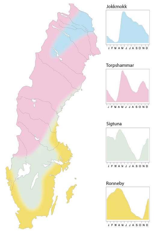 Grundvattenmagasin Grundvattenregimer Två typer av grundvattenmagasin: