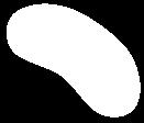 Jorden runt