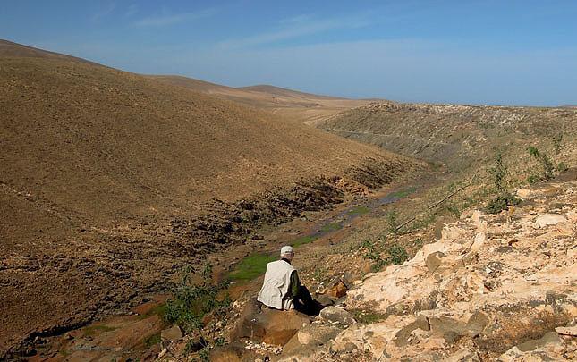 även klipphöna, härfågel, kanariepiplärka, glasögonsångare, ökenvarfågel och ökentrumpetare. Övernattning på Fuerteventura. Fuerteventura. Foto: Göran Pettersson Dag 4: Andra dagen på Fuerteventura.