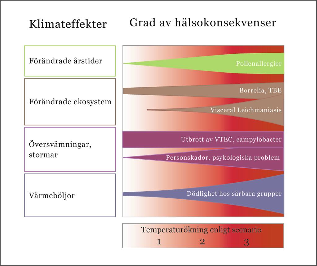 Figur 23. Sammanställning av de mest påtagliga och sannolika effekterna av en klimatförändring i vår närmiljö. (VTEC = Giftbildande E. coli bakterier). Källa Climatools 27 8.3.1 Kunskapsunderlag Vilka underlag behöver vi på länsnivå respektive kommunal nivå för att fatta beslut om anpassningsåtgärder?