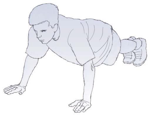 2. Styrkeövningar Övning 2.1: Push-ups Syfte: Testa domarens dynamiska överkroppsstyrka, framförallt armsträckare, främre axelmuskler och bröstmuskler.