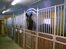 Unghäst: Efter avskiljning erbjuder vi lösdrift eller box. Vi auktionsförbereder även din häst om så önskas.
