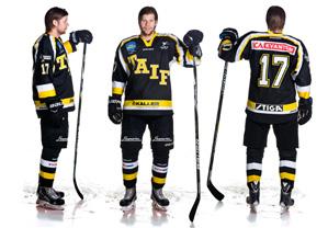 VARJE DAG ÄR EN BRA DAG FÖR HOCKEY Skylt stor 10.