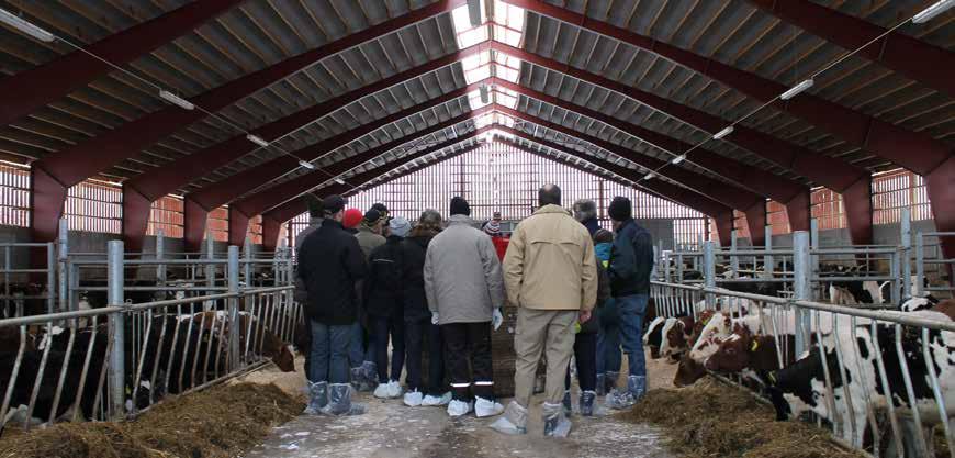 14 En organisation för alla producenter SNP:s medlemmar har många olika typer av produktion och ett skiftande antal djur. Våra medlemmar driver företag från Umeå i norr till Ystad i söder.