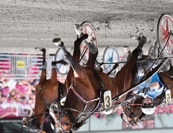 VINSTRIKAST Årets 2-åriga hingst i USA Broadway Hall e. Conway Hall u. B Cor Tamgo (2)*1.12,6a $436 790 9 st: 9-0-0 Global Un Poco (e. Conway Hall Share The Promise), 3 år, 1.625.700 kr.