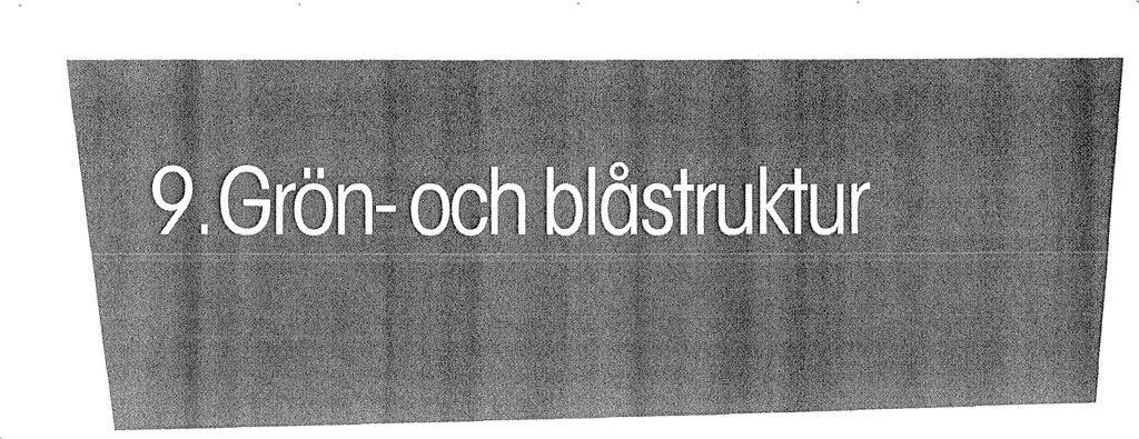 BEFINTLIGA FÖRHÅLLANDEN OCH ANALYS: Grön- och blåstruktur är både avgörande resurser för att bevara och utveckla biologisk mångfald och ekosystemtjänster, samtidigt som dessa ekologier, framförallt