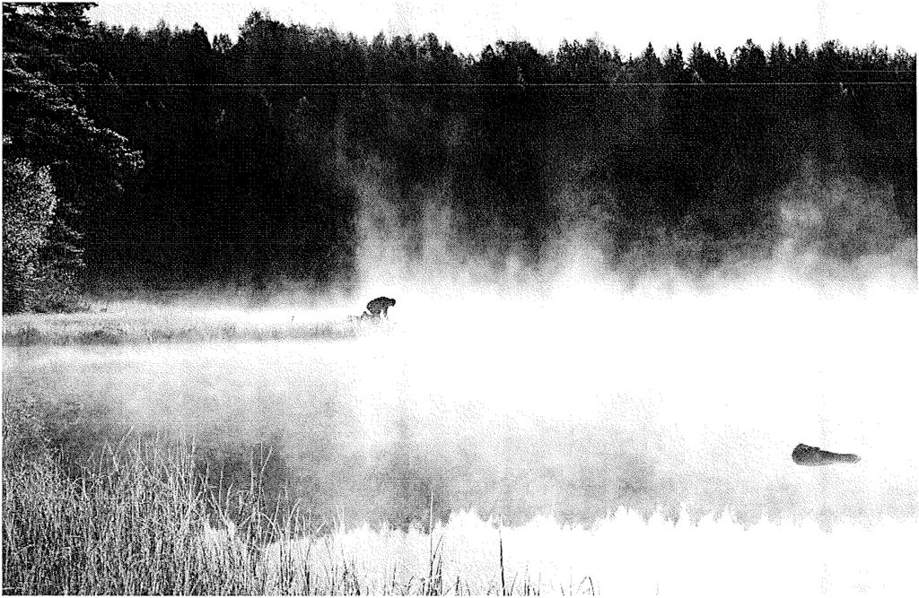 9. GRÖN- OCH BLÄSTRUKTUR 1107 mycket viktiga att bevara som ostörda miljöer.