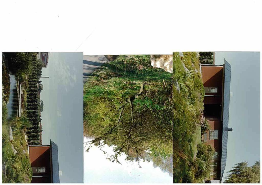 Karpar, och senare guldiskar, levde sommartid i dammen fram till ca 1990.