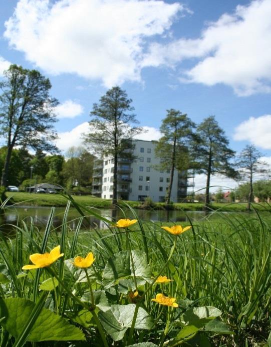 Översiktsplan för Essunga kommun 2017 2030 Efter antagandet av Essunga kommuns översiktsplan kommer Essunga kommuns samlade översiktsplan att bestå