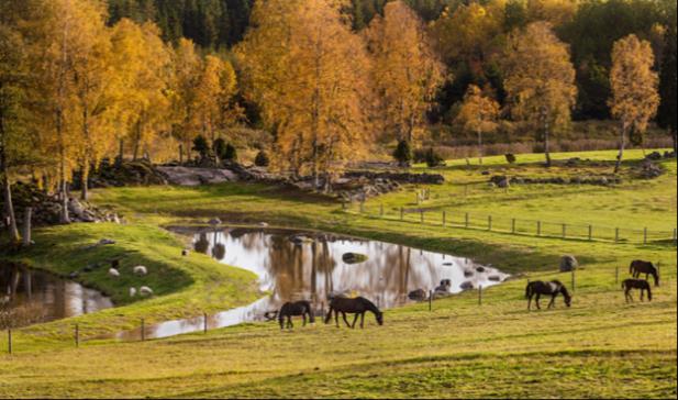 Våtmarksinventering År 2011 genomfördes på uppdrag av Länsstyrelsen en inventering och bedömning av potentiella våtmarkslägen i Essunga kommun.