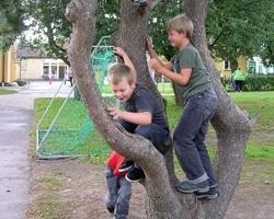 Barns goda uppväxtvillkor är viktigt att värna om. Det är därför en nödvändighet att fortsätta ge goda förutsättningar för en bra förskola och en bra grundskola.