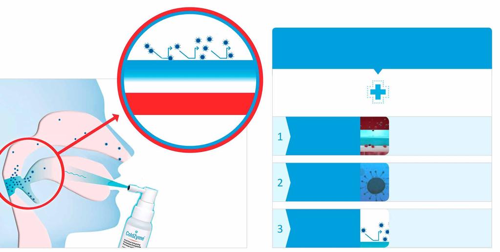 ENZYMATICA ÅRSREDOVISNING 2016 PRODUKTBESKRIVNING ColdZyme Munspray verkar mot orsaken istället för symptomen Med ColdZyme Munspray reducerar man virusmängden i svalget.