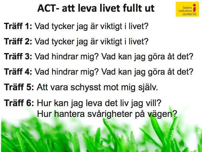 livet fullt ut Stor ACT-studie inom SiS & BUP(gruppbehandling & kort utbildning) Manual anpassad för yngre och missbruk