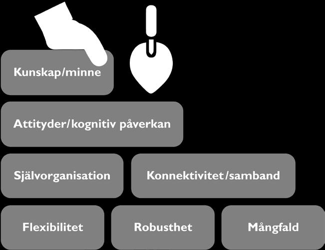 Ekologisk, social och ekonomisk