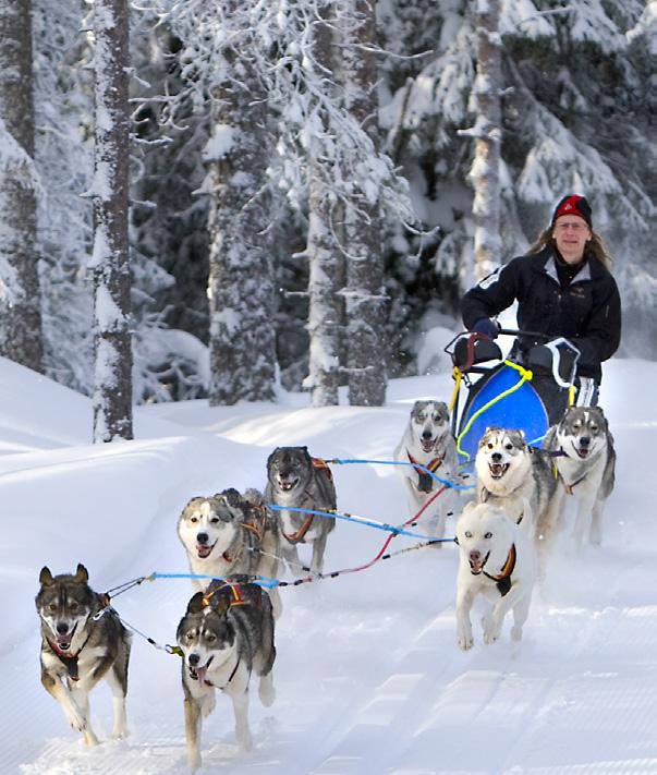 AKTIVITETER COUNTRY BREAK Middagsberget, Vääs COUNTRY BREAK Skidor på lägde och tväre Viterävetyr med häst och hud Ka e tur i viterskoge vara både häftig och fridfull på samma gåg? Absolut!