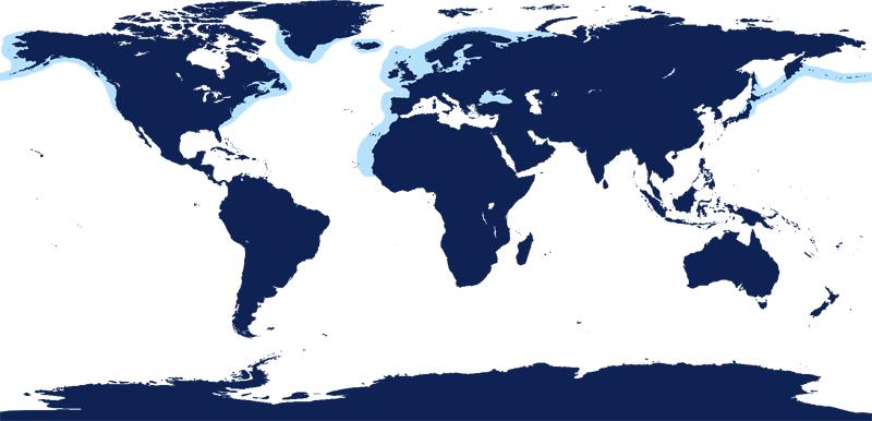 Geografisk fördelning Tumlare bebor tempererade och kalla vatten i norra delen av Stilla havet, norra Atlanten och Svarta havet.