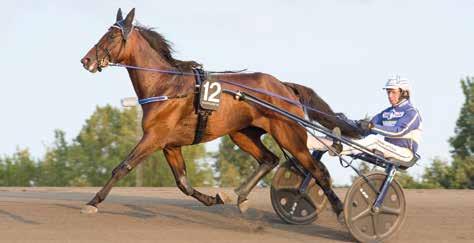 7 Gloal Trustworthy 8 acing Mange Har ara gjort tio starter m visade som treåring att han var häst för de stora lopp, äv om han ara l trea som favorit i Svskt Trav- Kriterium akom Deimos acing och