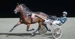 Körsv: Björn Goop, Färjestad 5 ASH OWE eady ash - Giant rowe / Gigant Neo Uppfödare: etri uro, Eldserga