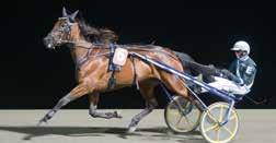 .Travträning AB (etri uro) Tränare: etri uro, Halmstad Skötare: Laura Myllymaa Körsv: Johnny Takter,