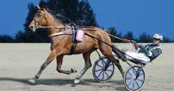 Ägare: Stall Timo Nurmos AB, m fl Tränare: Timo Nurmos, Solvalla Skötare: Laura Marttin Körsv: Jorma