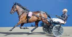 Malmqvist, Jägersro Skötare: etra A Johansson Körsv: Ulf Ohlsson, Solvalla FANTASY IVE eady ash - Your