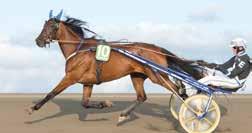 Tränare: Ola Samlsson, Jägersro Skötare: Francois Simon Körsv: Örjan Kihlström, Solvalla OME AND DEAM Zola