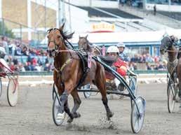 ,a 60,55 Alexander Bard och Ulrich Bermsjö oert Bergh Travstall AB & Forspro AB oert Bergh oert Bergh 600 000 00 Jägersro Gazza Degato hingst Alf alema - Gazette Håleryd.