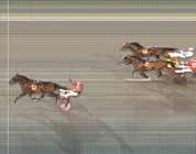 Monark Newm,6 (6) ersson F. acing Mange,8 (8) Lövgr J. Shorthanded Jag,8 () Ingves. Gianca Boko,9 (75) Takter J 5. Gln Boko,9 (58) Goop B 6. Ural,9 () Kontio J 7. Antonio Trot,9 (0) Ohlsson U Opl.
