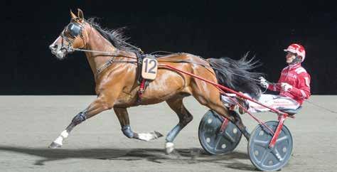 Dock tog häst femteplats i uttagning till Svskt Trav-Kriterium på Solvalla när Gloal Trustworthy vann med Monark Newm som trea, åda dessa finns ju här.