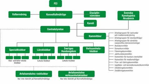 Nordisk Kennelunion (NKU) NKU består av kennelklubbar från Sverige, Norge, Danmark, Finland och Island.