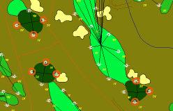 On the Course Map, the individual holes will be indicated by an expanding yellow circle (indicating No