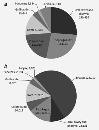 Cancer incidence and mortality attributable to alcohol consumption Distribution of the number of cancer cases attributable to alcohol in men (a) and women (b) by cancer site, worldwide,