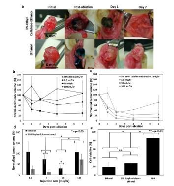 Alkohol i cancerbehandling Morhard R et al.