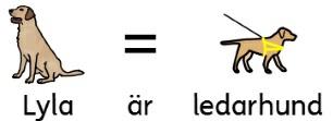 Då ersätts texten under symbolen med en grön ruta där du skriver in den nya texten.