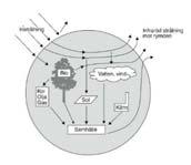 15) Biologisk förbränning (cellrespiration) Teknisk förbränning Energiflöden på jorden CO 2 + H 2 O Värme (2/3) CO 2 + H 2 O Värme (2/3) 120 000 TW bränslemolekyler + O 2 kolhydrater fetter proteiner