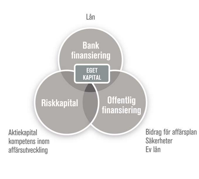 Riktlinjer Finansiering på företagsnivå Det finns en efterfrågan på bättre finansieringsmodeller även för företag som vill växa och utvecklas.